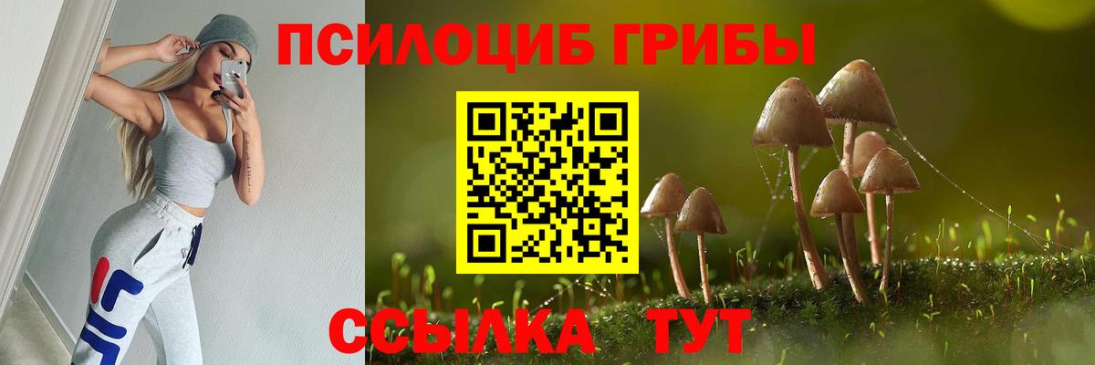 Галлюциногенные грибы MAGIC MUSHROOMS  Вход с VPN  Псилоцибиновые грибы Cubensis  Лобня 